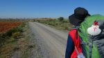 jakobsweg_pilgrim_pilgrimage_camino_de_santiago_wanderer_backpack-camino-santiago